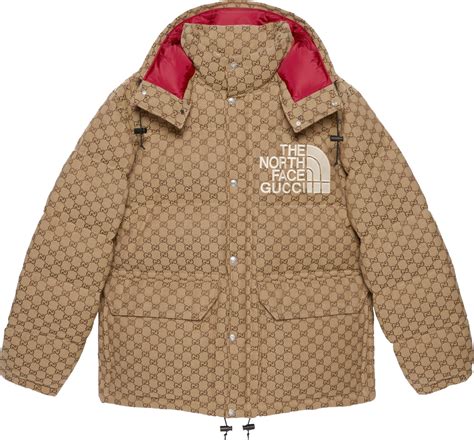 north face puffer jacket gucci.